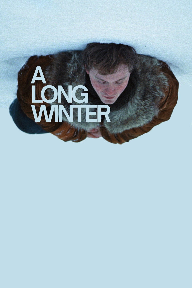 A Long Winter poster