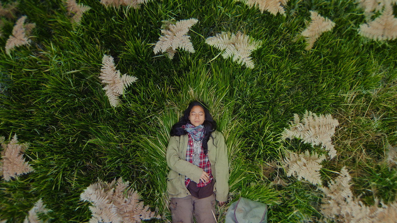 Four Seasons in Java still 1