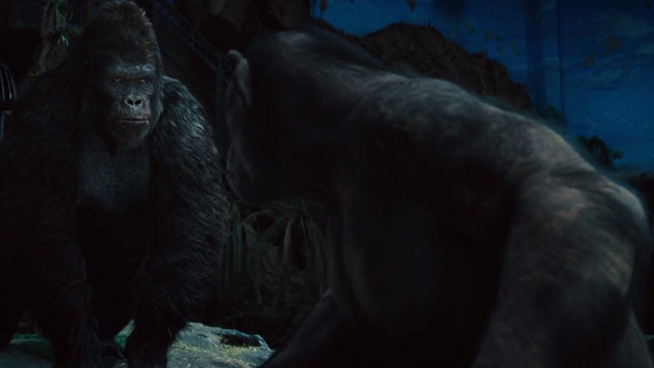 Rise of the Planet of the Apes still 5