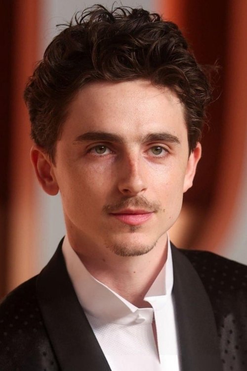 Timothée Chalamet portrait